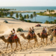 Uma das praias mais bonitas da América do Sul parece um deserto com dromedários, dunas e águas cristalinas