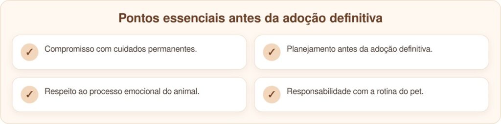 Cadelinha de abrigo espera adoção, mas adotante não aparece