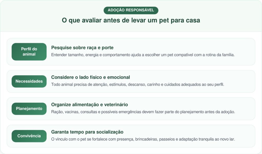 Labrador É Devolvido Ao Abrigo Por Ser “Grande Demais” E Comove Ao Continuar Buscando Abraços