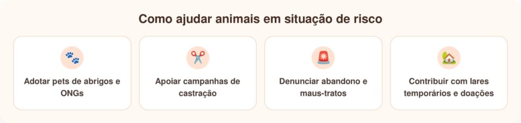 Cachorro abandonado no lixo recebe novo lar e comove protetores