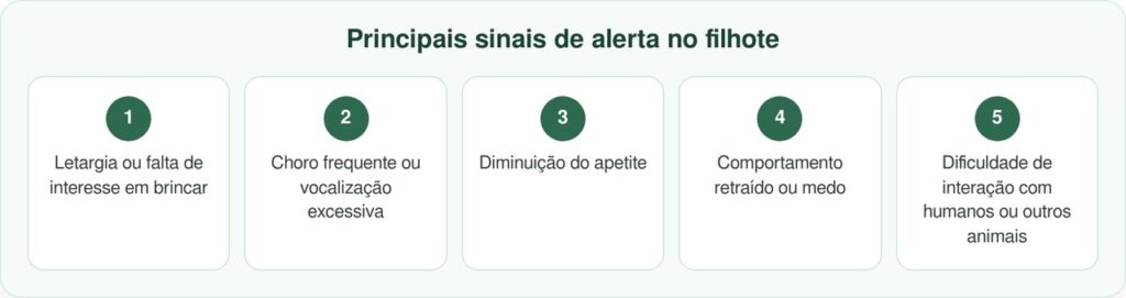 Filhote de cachorro fica sozinho e confuso em abrigo após toda a ninhada ser adotada