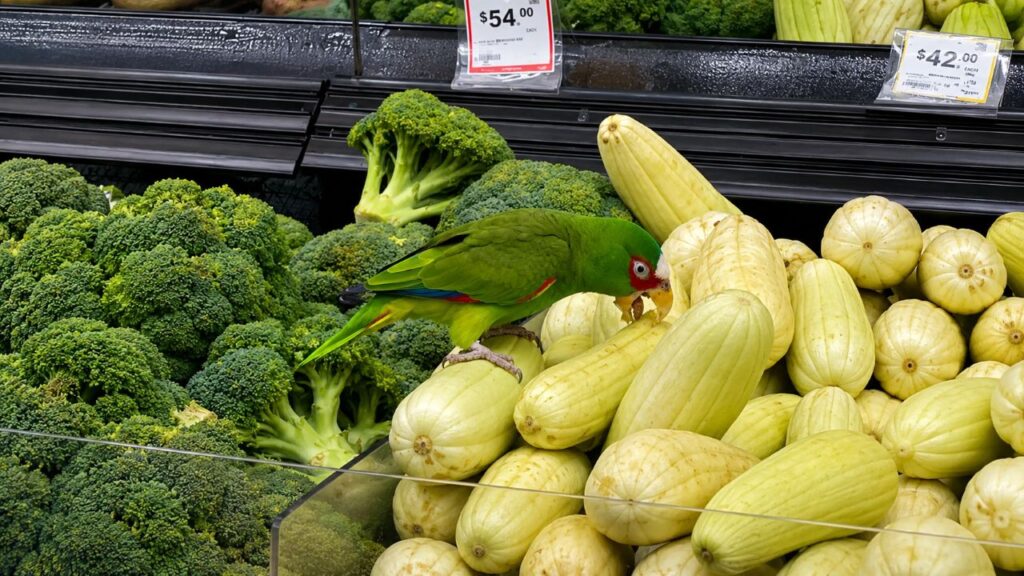 Consumidora leva susto ao encontrar animal camuflado entre frutas e verduras