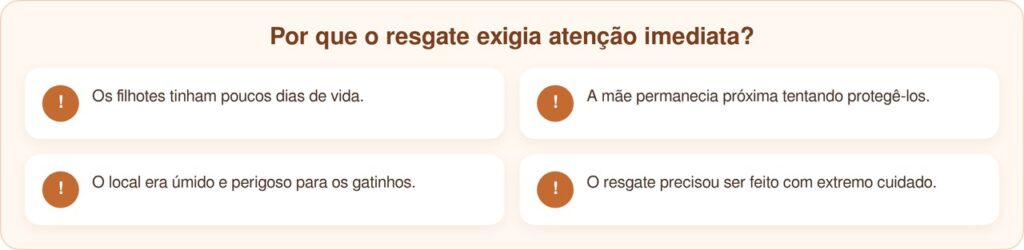 Pequenas bolas de penugem no fundo do ralo eram filhotes precisando de ajuda