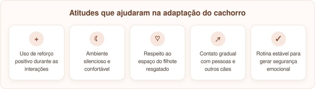 Filhote tímido resgatado pede carinho pela primeira vez e emociona família
