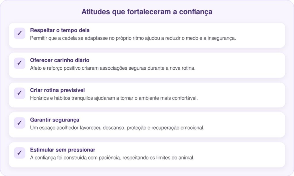 Cadela pitbull adotada precisa ser carregada para se sentir segura e conquista nova família