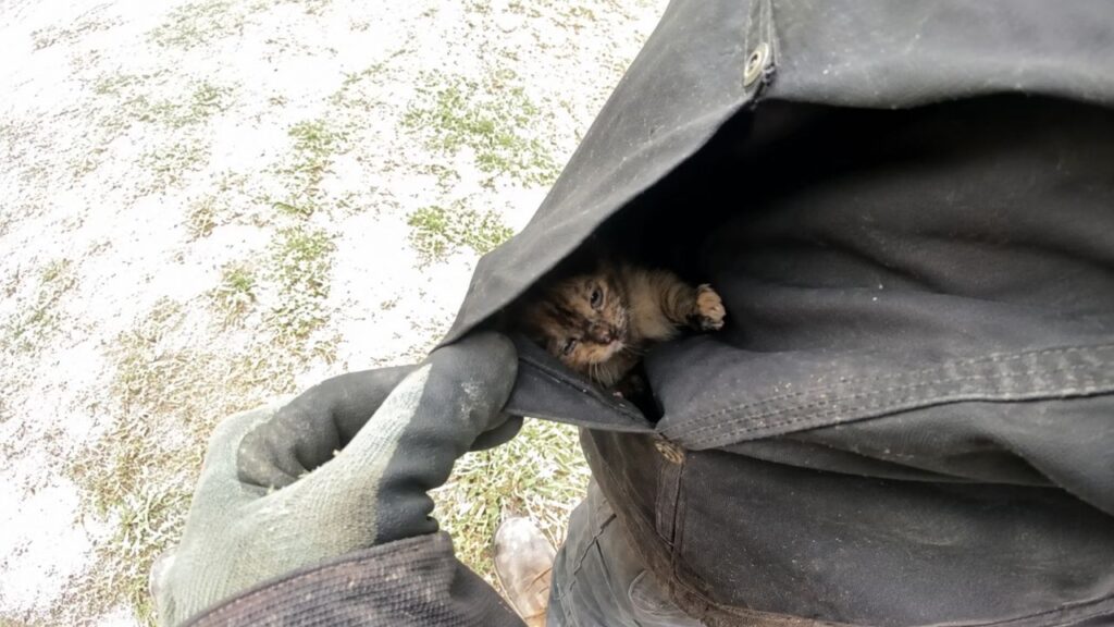 Jardineiros chegam para trabalhar e saem com os bolsos cheios de bebês