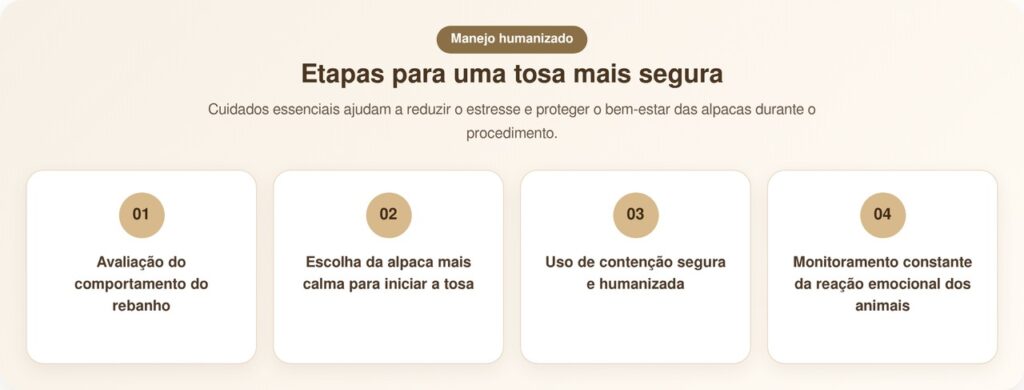 Alpaca de apoio emocional tranquiliza companheira durante tosa