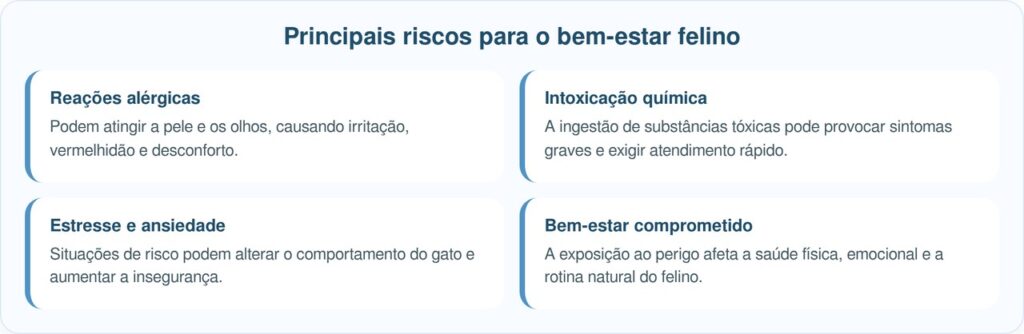 Gato rosa surpreende equipe de abrigo ao surgir na porta