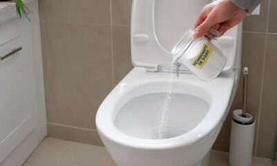 Jogar bicarbonato de sódio no vaso: para que serve e quando fazer
