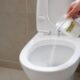 Jogar bicarbonato de sódio no vaso: para que serve e quando fazer