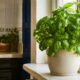 O detalhe verde que deixa a cozinha mais charmosa e viva