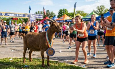 Cabra fugitiva ganha medalha após participar secretamente de meia maratona