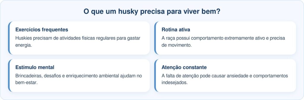Husky abandonado por ser “demais” fica encolhido sozinho em abrigo