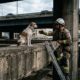 Cadela de rua presa embaixo de uma ponte comove após resgate dos bombeiros