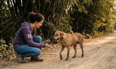 Cadela abandonada na mata dias após adoção corre ao ouvir seu nome