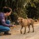 Cadela abandonada na mata dias após adoção corre ao ouvir seu nome