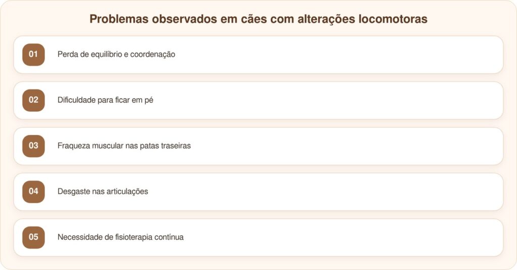 Filhote nascido com patas traseiras viradas para trás luta para aprender a andar