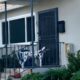 Cachorro aparece toda noite na casa do vizinho para dividir a refeição