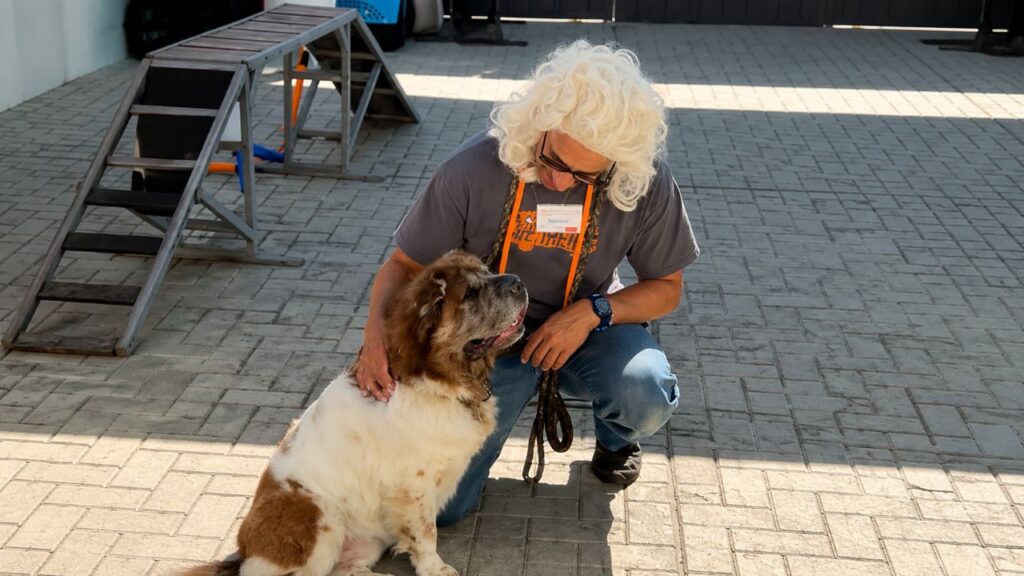 Cão de abrigo tem medo de homens e funcionária encontra solução