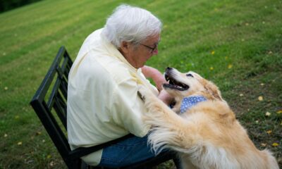 Cão idoso ganha presente artesanal cheio de lembranças emocionantes
