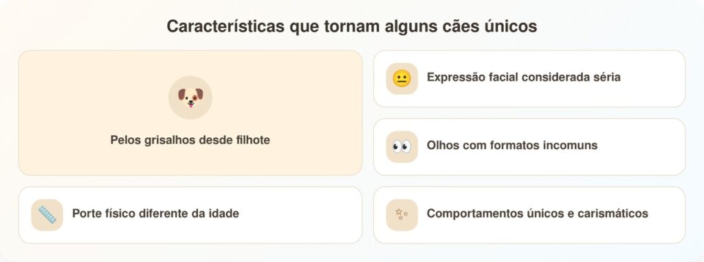 Este cão de aparência antiga surpreende por ser apenas um filhote