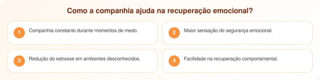 Irmãos resgatados se agarram um ao outro após abandono em esquina