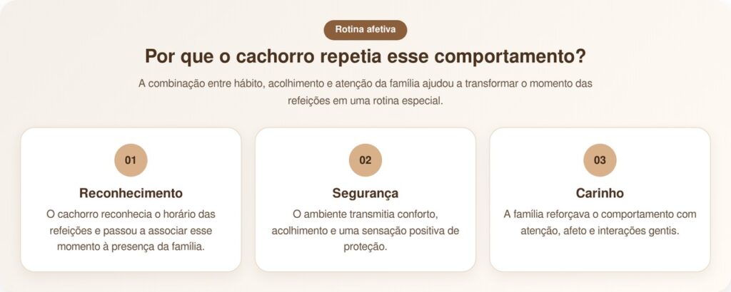 Cachorro aparece toda noite na casa do vizinho para dividir a refeição