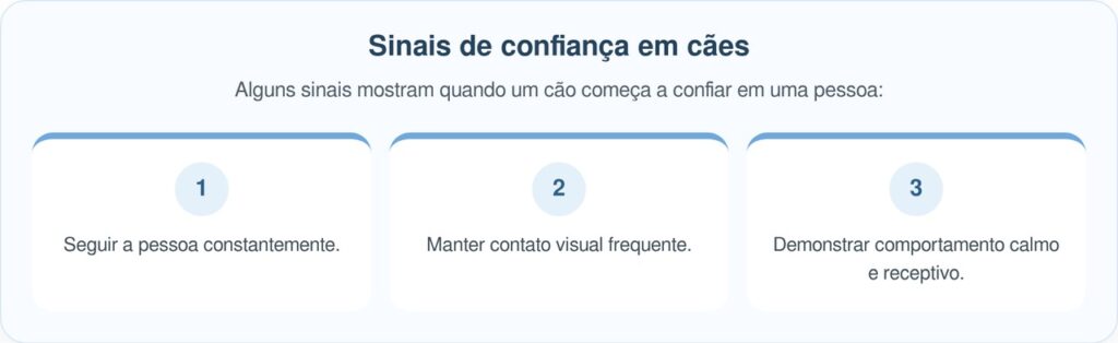 Cachorro segue caminhante na trilha e transforma sua vida
