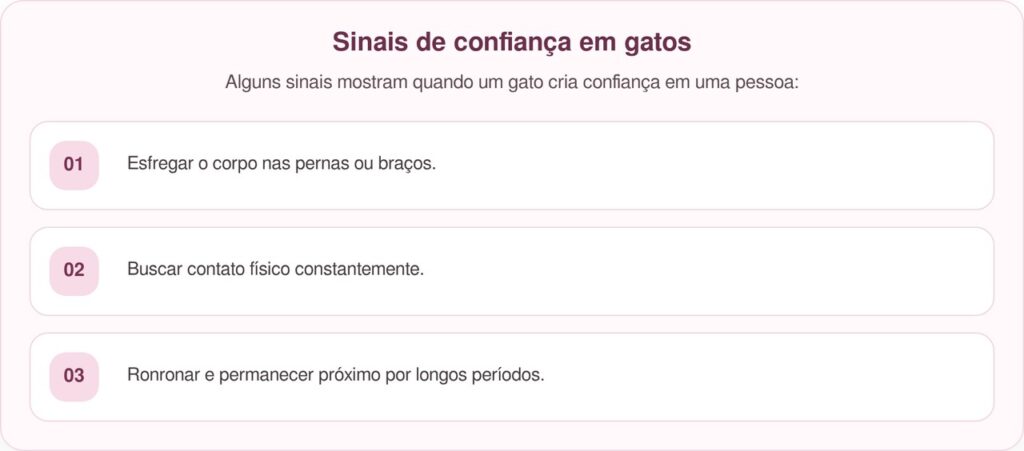Comerciante ajuda gato de rua faminto e recebe carinho todos os dias