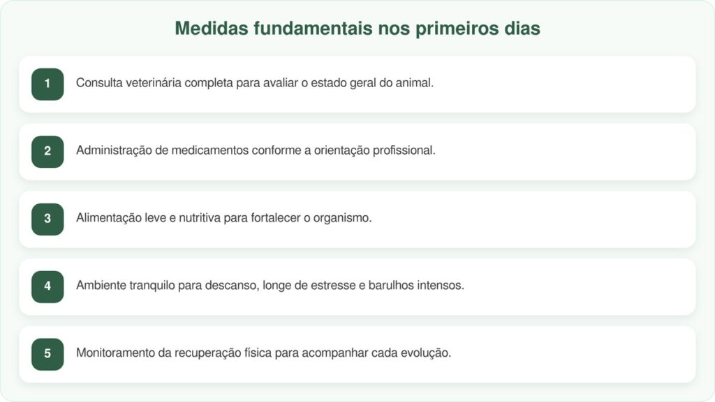 Todos passaram por ali, até uma pessoa parar para ajudar este gato doente