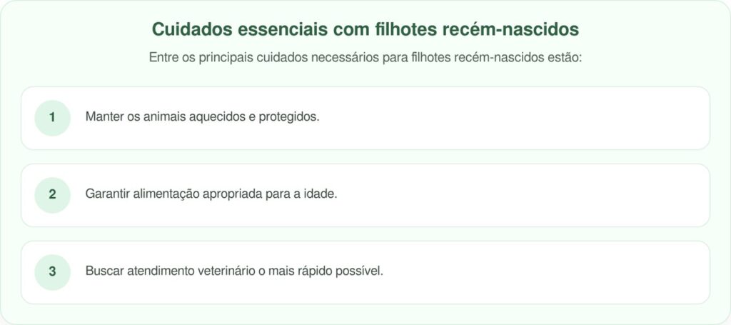 Mulher segue cachorro pela floresta e encontra filhotes escondidos