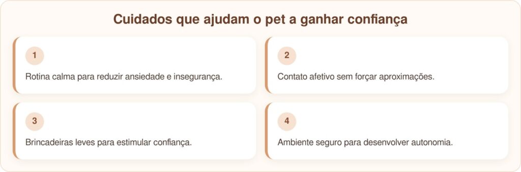 Meadow, o cão em lar temporário que aprendeu a ser cão do zero