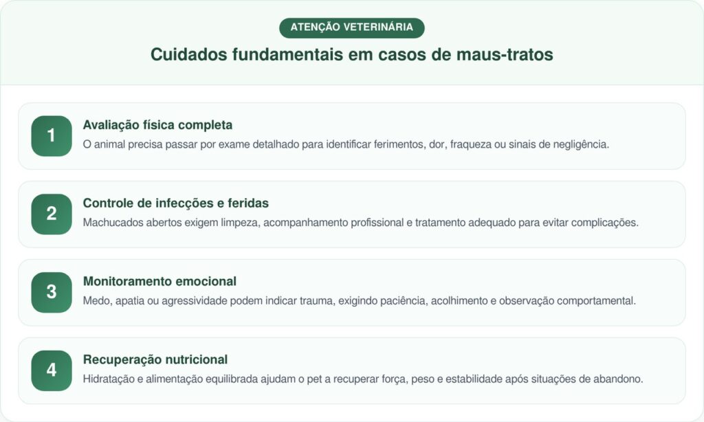 Homem Salva Filhote Espancado Encontrado Debaixo De Um Carro