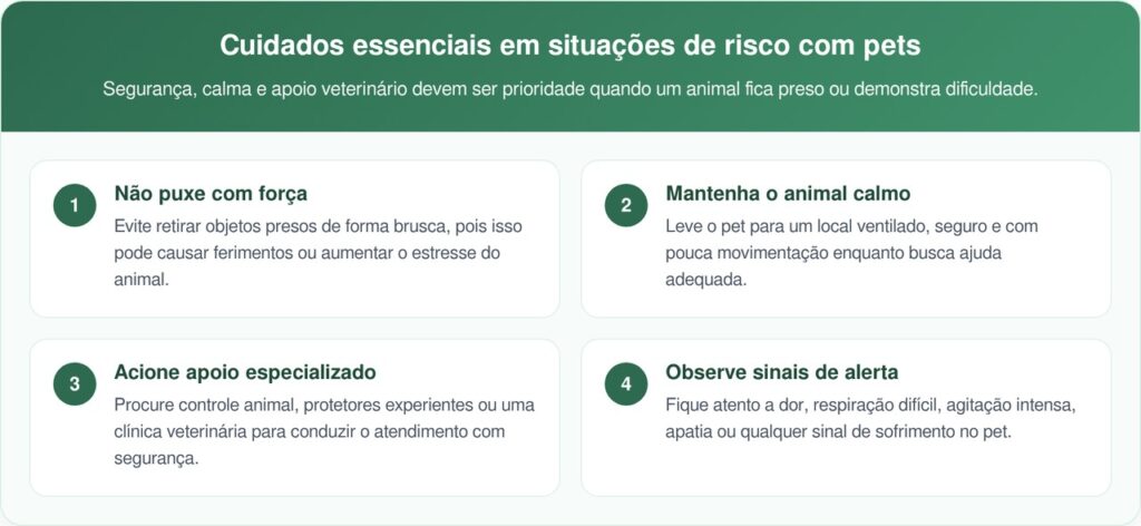 Cão Libertado De Recipiente Plástico Surpreende Resgatadores Com Carinho