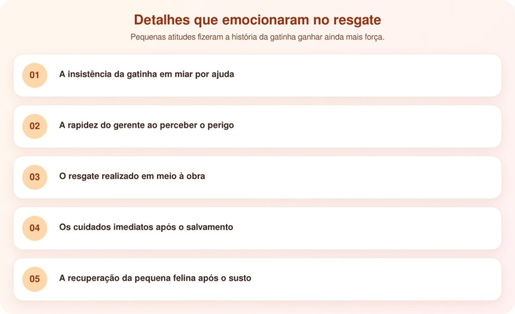 Gerente de obra encontra gatinha se afogando em um barril e corre para ajudar
