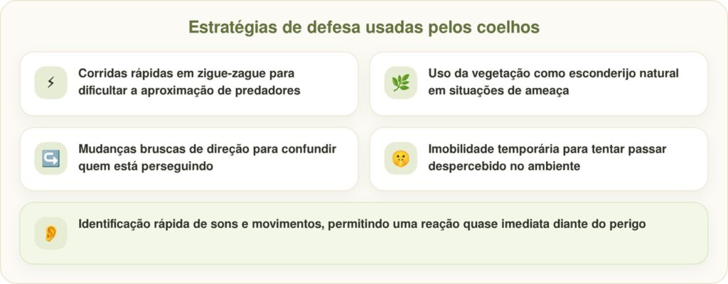 Um homem que passeava com seus cachorros viu um coelho correndo, e então entendeu a pressa