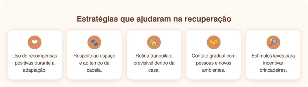 Cão de lar temporário, que precisava ser carregado para atravessar portas, começa a florescer