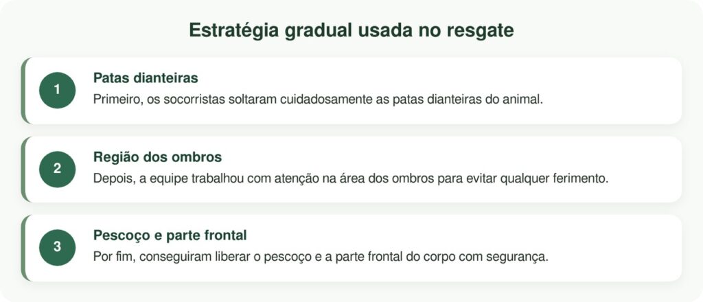 Socorrista fica incrédulo ao encontrar pônei preso dentro de um pneu