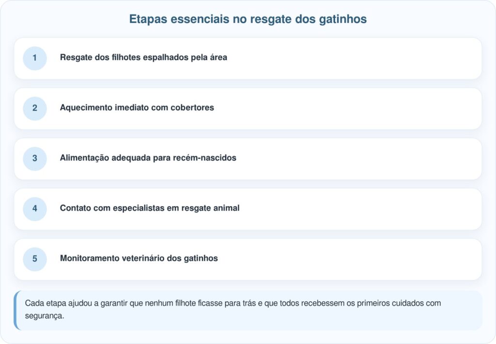 Proprietário de terras encontra gatinho sozinho na lama após tempestade e decide olhar mais de perto
