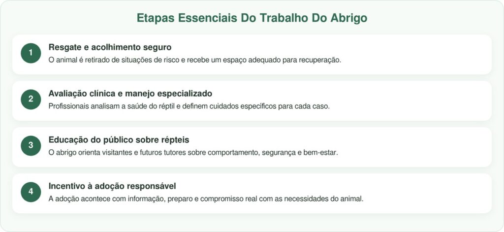 Jiboia Dócil Permanece 4 Anos Em Abrigo À Espera De Um Lar
