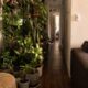 Um erro comum com plantas pode deixar a casa menor e menos organizada