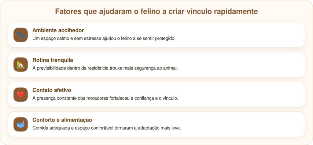 Gato preto de rua entra por porta aberta e encontra um lar definitivo