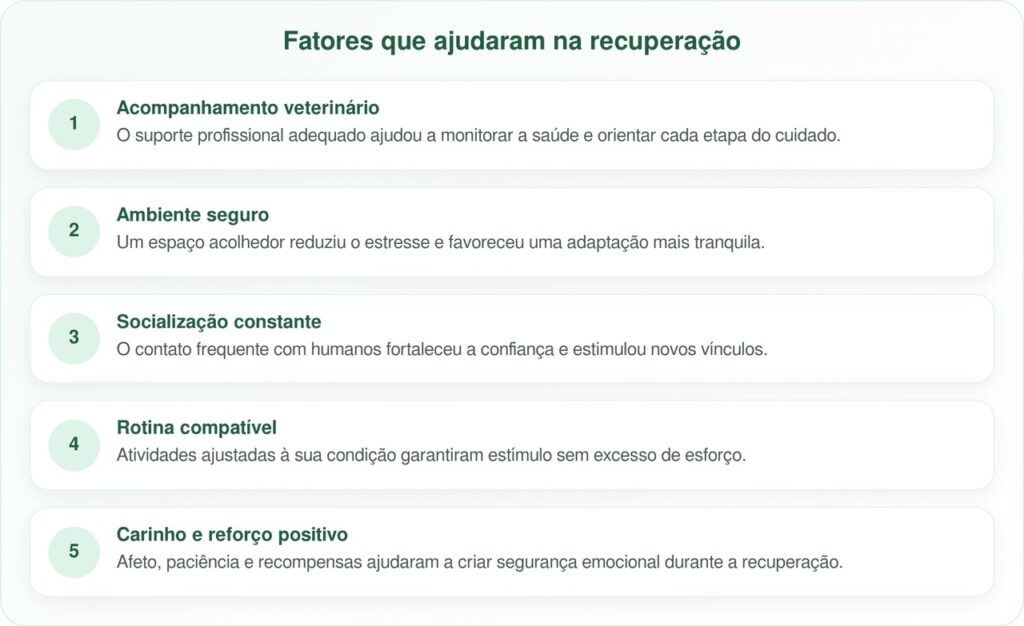 Tripod Foster Pittie se apaixona por sua nova família e emociona com sua recuperação