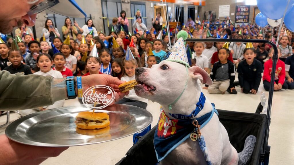 Crianças fazem surpresa emocionante para cão de terapia surdo no aniversário