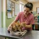 Gatinho coberto de tinta se transforma em um adorável ursinho de pelúcia