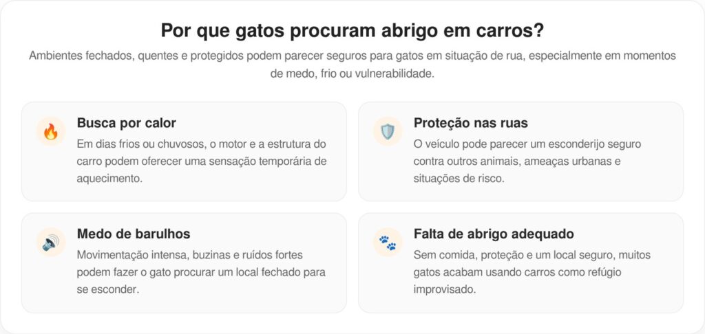 Gatinho preso dentro de um carro corre até uma mulher pedindo para ser resgatado