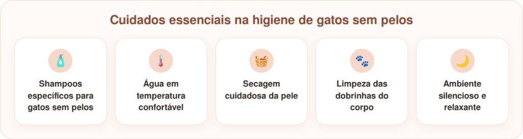 Gato sem pelos toma banhos de espuma elaborados todos os domingos à noite