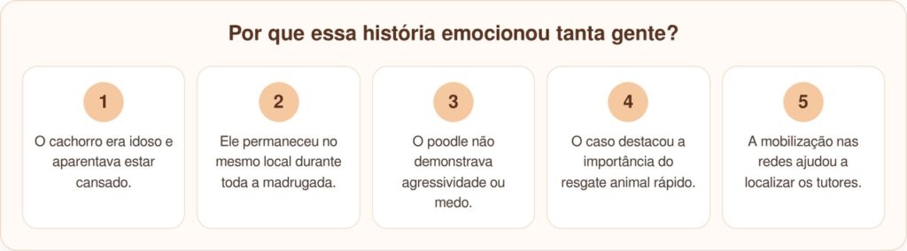 Pequeno poodle passa a noite toda no pátio do Starbucks esperando ser notado