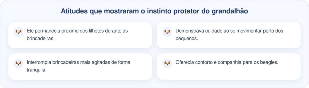 Cão de 45 kg se transforma na babá perfeita de filhotes de beagle