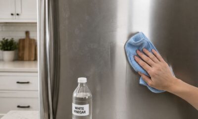 A porta da sua geladeira está suja e sem brilho? Experimente limpá-la com estes dois ingredientes de cozinha e veja os resultados.